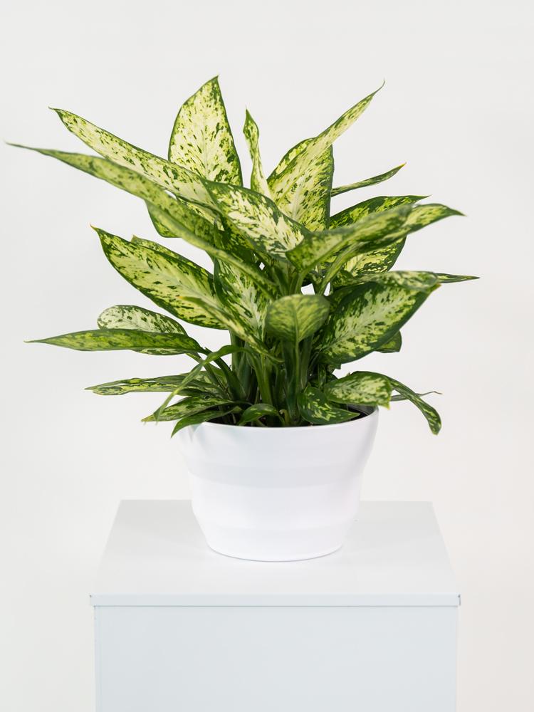 DIEFF. VESUVIO 3P PO1711 BIANCO OPACO POT.